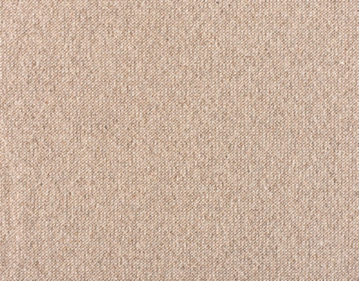 Andean Quinoa