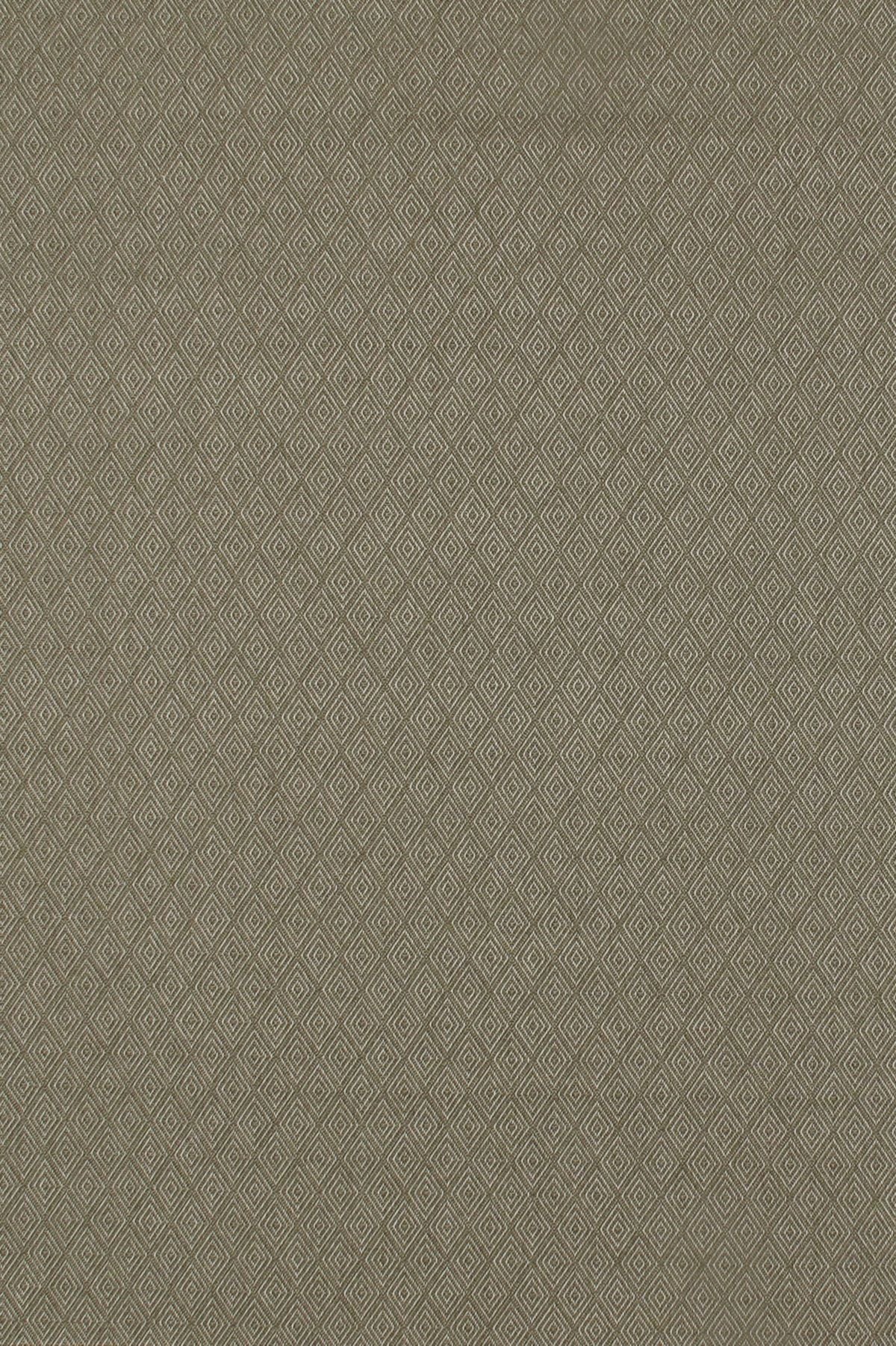 T01000545_ALT2