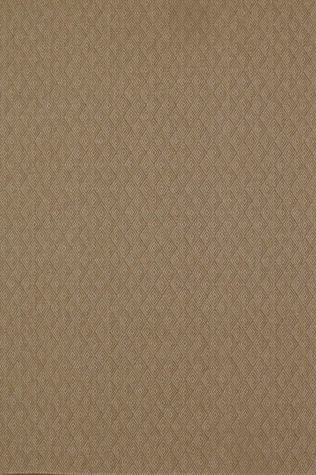 T01000546_ALT2