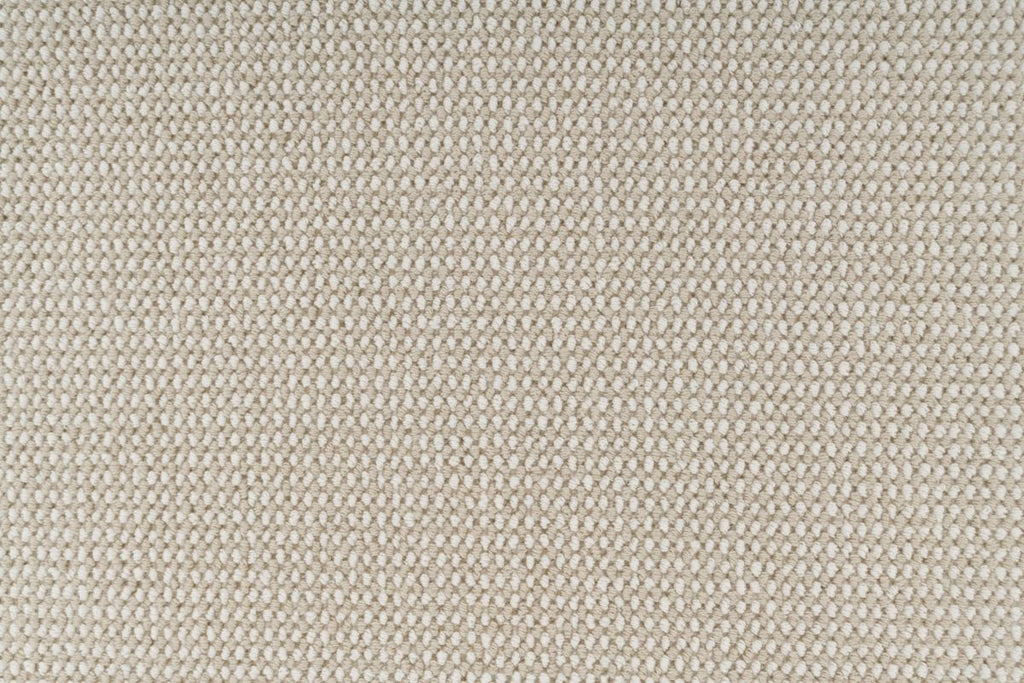 T01005786_CL