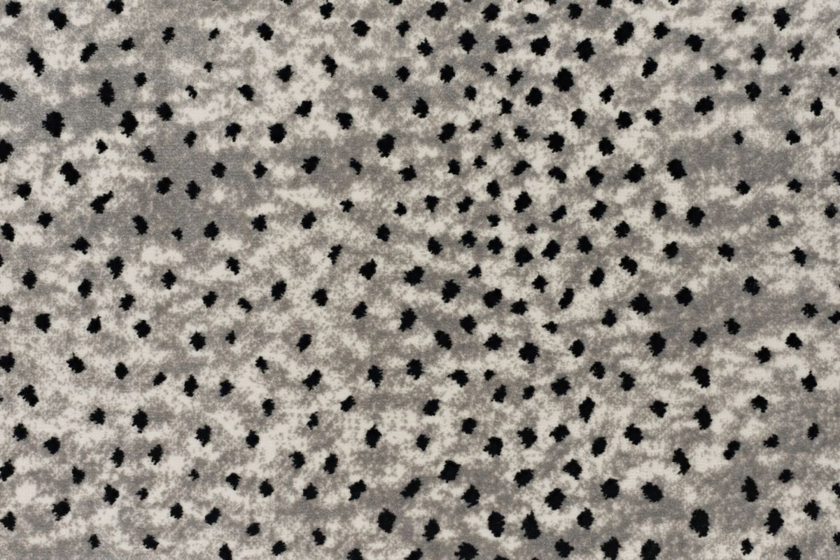T01006617_CL