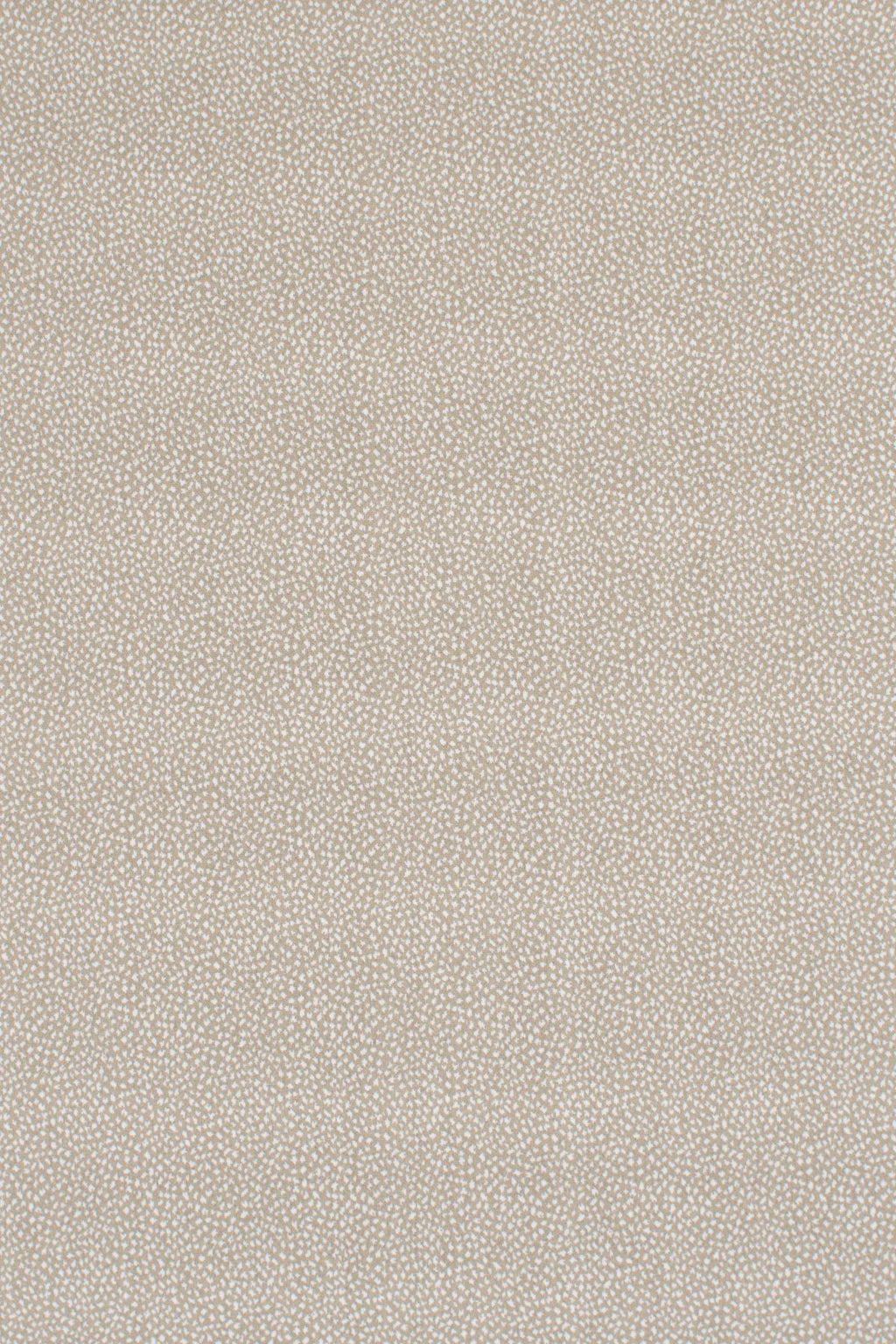 T01006984_ALT2