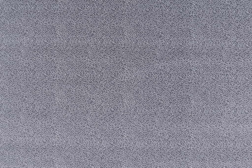 T01007026_ALT2