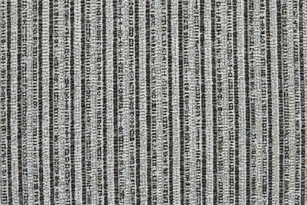 T01008356_CL