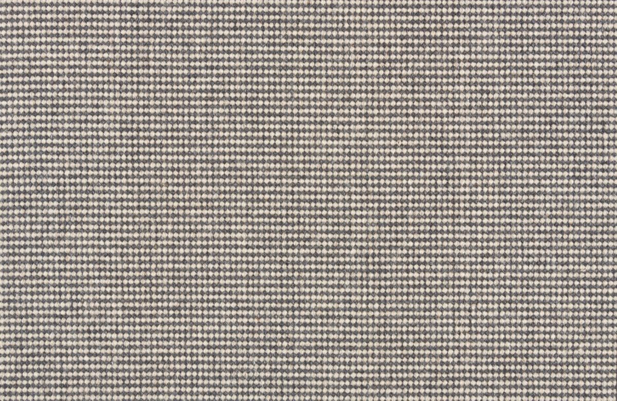 T01009106_CL