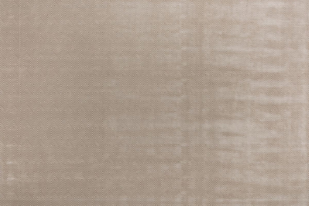 T01010454_ALT2
