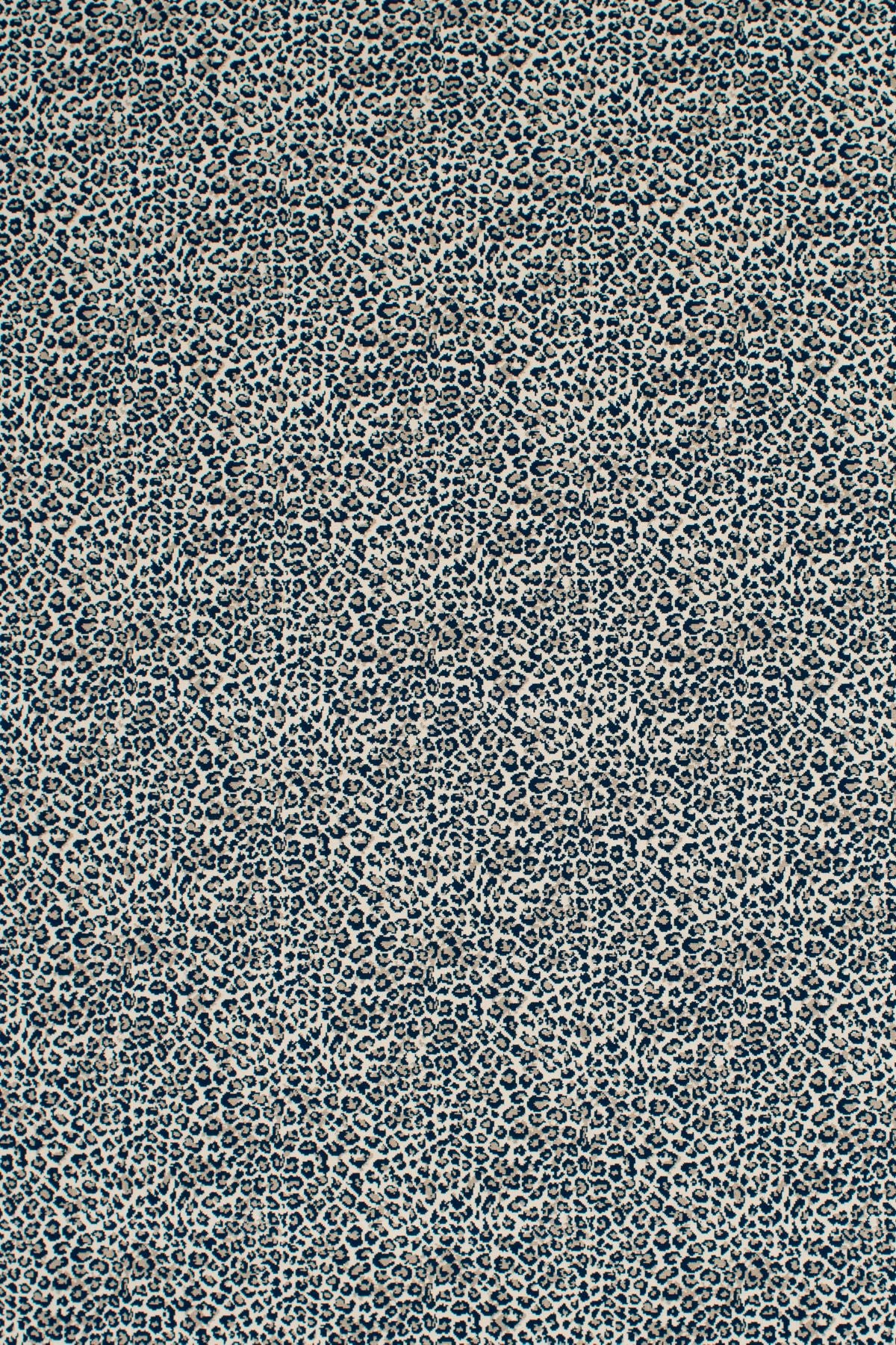 T01016846_ALT2