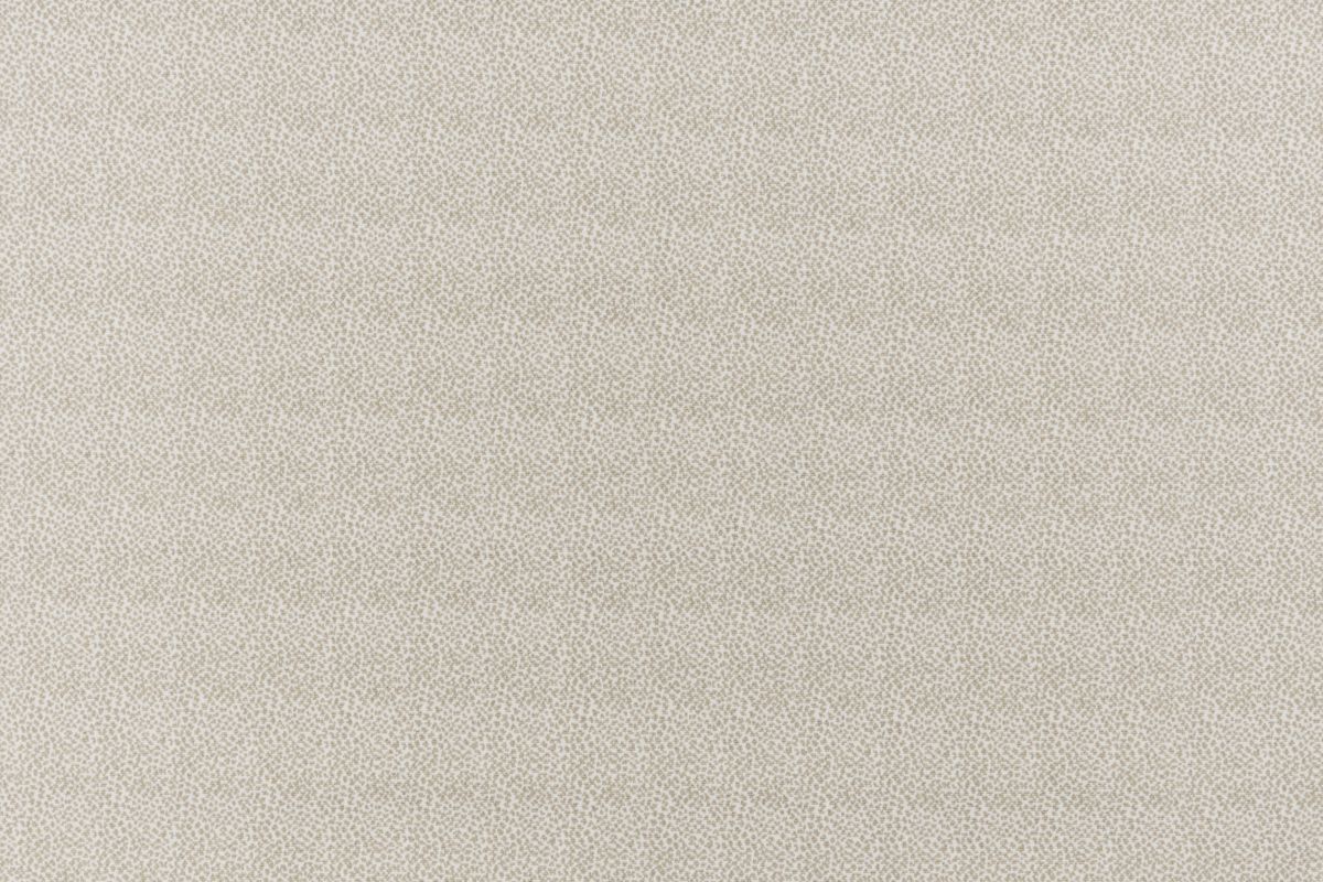 56 Pearl/dove