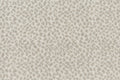 56 Pearl/dove